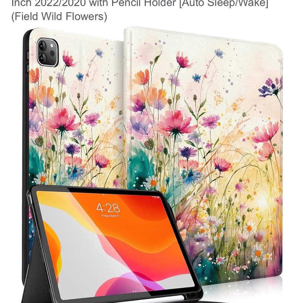 iPad Pro 11 Inch case